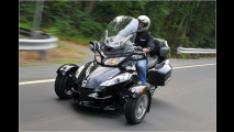 Harley hoch drei