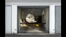 Pimp your Garage