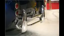Sächsische Cobra