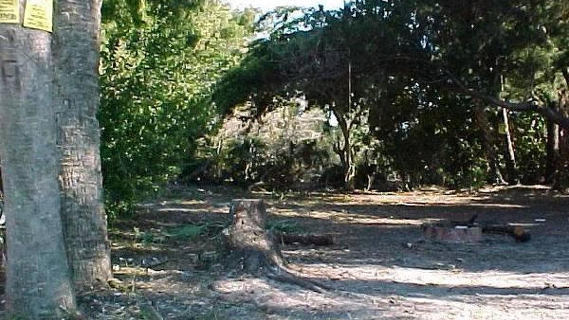 Private island owner wants to trade it for a Ferrari Enzo