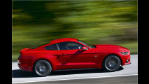Anpfiff für den Mustang