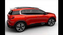Franzosen-Tiguan