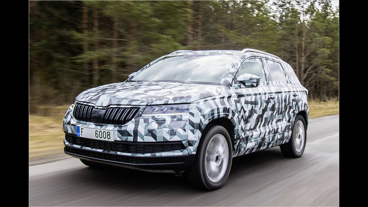 Schneemensch 2.0? Der Karoq!