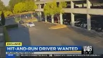 White Tesla Model 3 Driver Knocks Pedestrian In Georgia And Flees
