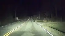 Tesla Autopilot Protects Nature - It Saved Momma Bear And Its Cubs