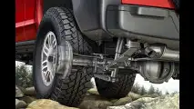 Kleiner Hummer kommt