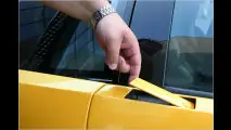 Geflügelter Traum