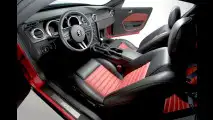 Entfesselter Mustang