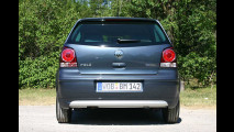 Blauer Sparzwerg