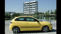 Dieselwahnsinn im Seat Ibiza
