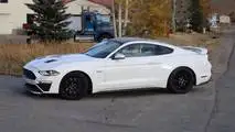 2018 Roush Ford Mustang Spy Photos