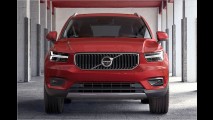 Schwedische SUV-Schönheit