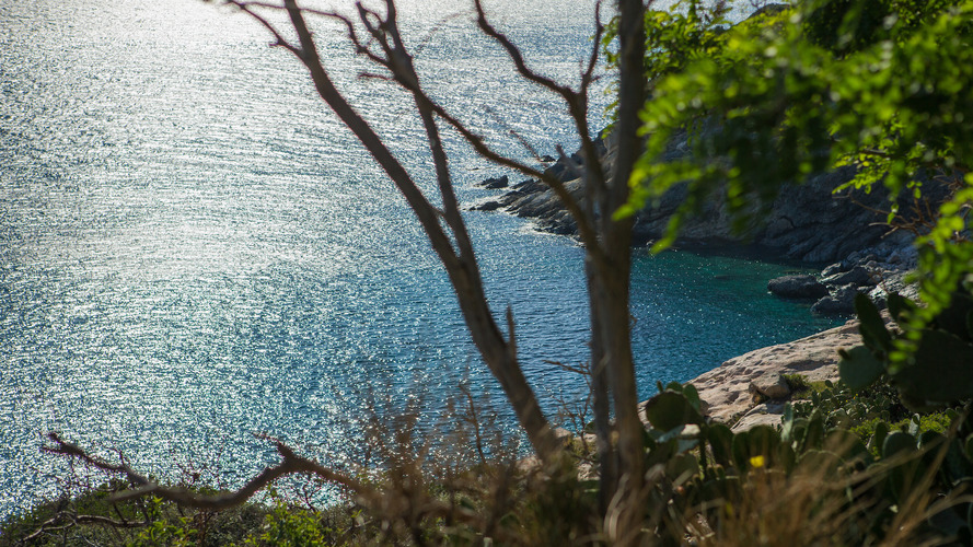 Ford Fiesta Active Isola d'Elba