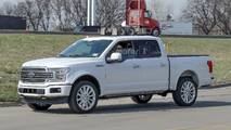 2019 Ford F-150 Limited casus fotoğraf