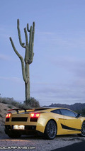 WCF Test Drive: Lamborghini Gallardo Superleggera