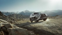 2020 Lexus GX