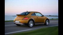Volkswagen Beetle Dune
