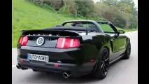 Kraftvolle Giftschlange