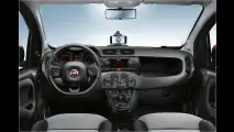 Smartes Bärchen