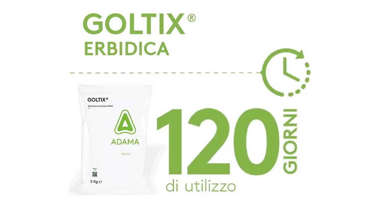 ADAMA Goltix