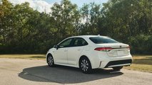 2019 Toyota Corolla Hybrid (ABD versiyonu)