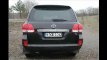 Japanischer Kraxler