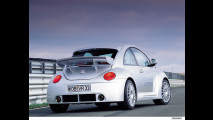 Volkswagen New Beetle RSI
