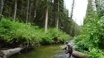 Stark Varg and Two Fly Rods