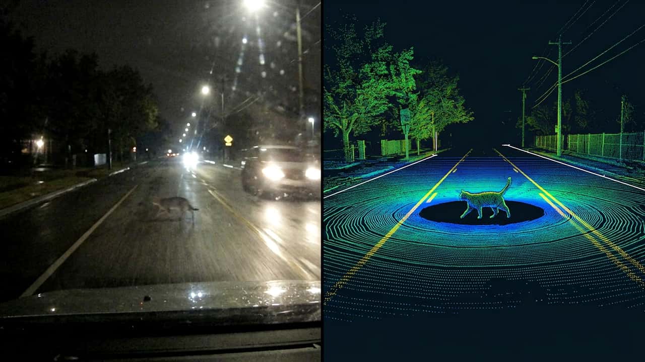 Un gatto per strada visto di notte con la telecamera e col Lidar