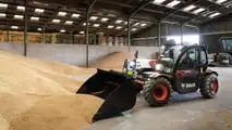 foto Bobcat telescopico super compatto TL25.60 AGRI