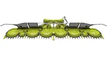 CLAAS JAGUAR 1000: trincia semovente fino a 500 t/h e 1.110 CV