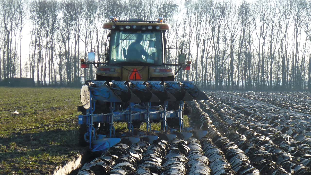 Cessione azienda agricola senza marchi né mercato autonomo: la CGT di Cuneo esclude l'avviamento ai fini dell'imposta di registro