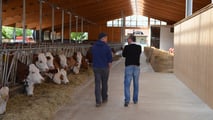 Contratti di rete agricoli 2026: gestione condivisa di lavoro e mezzi
