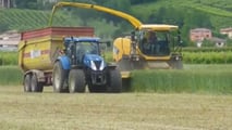 Costi di raccolta e insilamento del triticale nel 2026