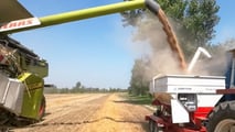 Come gestire rischio prezzi del grano duro con scelte meccaniche e contratti?