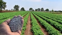UE: piano fertilizzanti, riserva Pac ma no fondi immediati