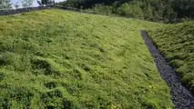 Lecagreen di Laterlite per il giardinaggio professionale