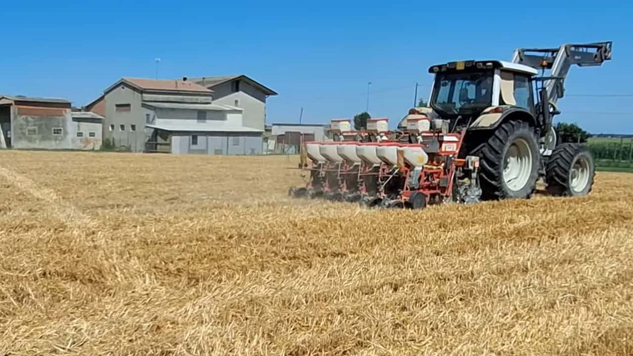 Strip till per soia: preparare il letto di semina solo in fila