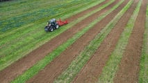 Ddl Tutela Agroalimentare: più tutela per le imprese Dop