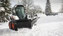 Bobcat Neve