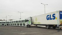 Iveco S-Way Gruppo D'Innocenti