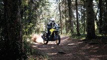 2023 Suzuki V-Strom 800 DE - Dirt