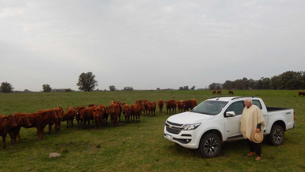 Opinión: “Se buscan pick-ups que piensen de verdad en el usuario del campo”