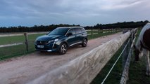 Peugeot, l'actualité 2021