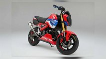 HRC Honda Grom Race Kit Front