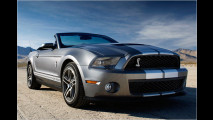 Mehr Muskeln für Mustang