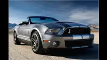 Mehr Muskeln für Mustang