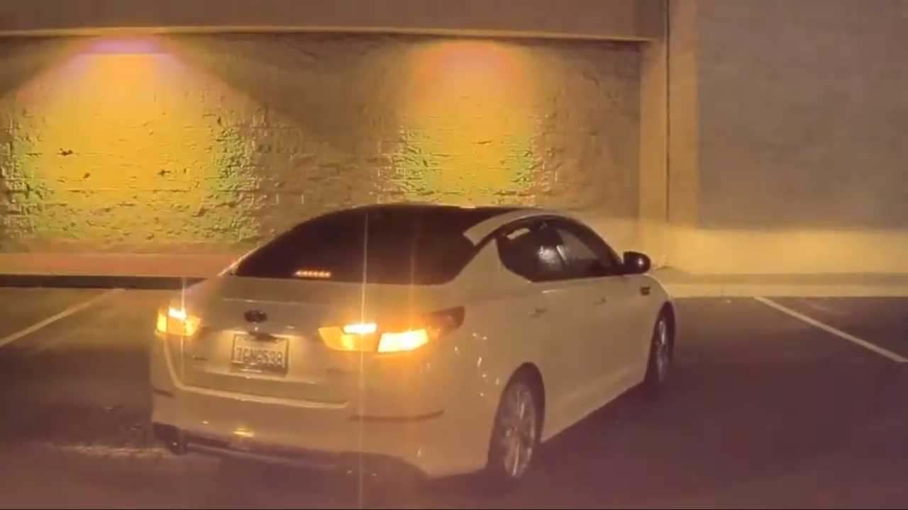Glass-Breaking Butts Love To Show Up In Tesla Sentry Mode Videos