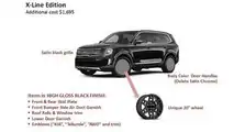 Kia Telluride X-Line Questionnaire