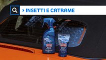Il catrame e gli insetti